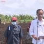 Minta Pertanian di Sorong Ditingkatkan, Jokowi: Beri Kesempatan Petani Milenial