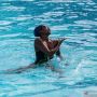PON Papua: Selam Kolam dan Renang Indah Mulai Dilombakan Hari ini