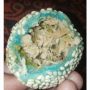 Kelewat Kreatif, Potret Onde-Onde Biru Berisi Suwiran Ayam Ini Bikin Heran