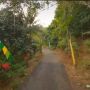 Viral Drone Terbang Secara Ekstrem Tunjukkan Video Suasana Desa, Publik Takjub