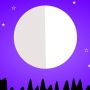 Pesona Bulan Purnama Menyinari Malam Hari