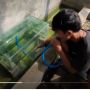 Viral Cara Membuat Kolam Ikan Melayang, Tonton Sampai Habis dan Kalau Bisa, Anda Jago