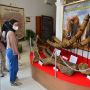 95 Persen Benda Pusaka Peninggalan Kerajaan Bone Dalam Museum Lapawawoi Hilang