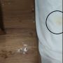 Viral Kondisi Kamar Hotel Penuh Noda Dan Bercak di Kasur Hingga Lantai, Petugas Syok