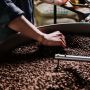 Kuliah Singkat di Indonesia Makin Populer di Kalangan Mahasiswa AS, Ingin Belajar soal Kopi dan Kakao