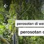 Viral Muda-Mudi Perosotan di Tempat Tak Biasa, Warganet Ikut Cemas Kena Pecahan Kaca