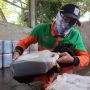 Jakarta Potensial Pasok 20 Persen Biodiesel Minyak Jelantah