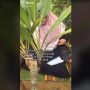 Tak Tahu Malu, Wanita Ini Lakukan Hal Tak Terduga saat Ziarah Makam