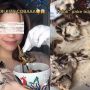 Viral Wanita Makan Ekstrem Tarantula, Cara Makannya Tuai Perdebatan Warganet