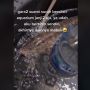 Suami Mager Bersihin Akuarium, Istri Nekat Lakukan Ini