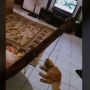 Pas Hamil Dirawat dengan Baik, Begini Aksi Kucing Balas Budi Bantu Momong Anak