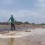 Abrasi Laut dan Rusaknya Lingkungan, Bikin Petambak Garam di Pesisir Cirebon Menjerit