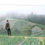 Lahan Pertanian Dijadikan Tempat Wisata