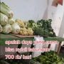 Kisah Wanita Ditolak Camer Viral, Hanya Kerja Jualan Sayur Tapi Mertua Minta PNS