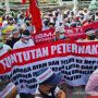 Gelar Aksi Damai, Peternak Tagih Janji Jokowi soal Pengadaan 30 Ribu Ton Jagung Pakan