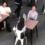 Viral Cewek Terciduk Halu Makan Bareng Kim Seon Ho, Publik: Sudah Tak Bisa Ditolong