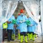 Berdikari Segera Hadirkan Ribuan Sapi Indukan untuk Pengembangan Ekosistem Pangan Nasional