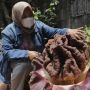 Tanaman Diduga Bunga Bangkai, Mekar di Pekarangan Warga Cipete