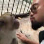 Influencer Pecinta Hewan Kunjungi Monyet Viral di Karawang