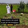 Viral Video Emak-emak Salat di Tengah Sawah, Warganet Auto Terharu