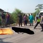 Tabrak Gerombolan Kerbau di Kendal, Pekerja Proyek Tewas Mengenaskan