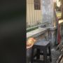 Lagi Asyik Jajan, Rombongan Cewek Kaget Lihat Bocil Tiba-Tiba Lakukan Hal Nakal