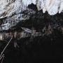 Beijing Tolak Akses Masuk WHO ke Gua Berisi Kelelawar di Hubei China
