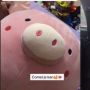 Viral Ibu Bilang Haram Boneka Babi, Sampai Potong Hidung, Perempuan Ini Sedih