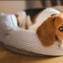 7 Rekomendasi Jenis Tempat Tidur Untuk Anjing Kesayangan