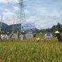 Jelang Hari Pangan Sedunia, PPI Lakukan Panen Raya Lewat Agro Solution
