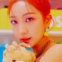 Debut Manis Member Baru Secret Number