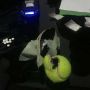 Tak Kehilangan Akal, Penyelundupan Narkoba di LP Kedungpane Menggunakan Bola Tenis