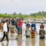 Tanam Mangrove di Kaltara, Jokowi: Ini akan Menjaga dari Gelombang Air laut dan Intrusi