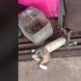 Tubuh Kucing Ini Terjebak Dalam Pipa, Netizen Suruh Panggil Damkar