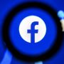 Facebook Mulai Uji Coba Fitur Pamer Koleksi NFT ke Pengguna