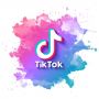 Apa itu Snaptik? Ini Cara Menggunakan Aplikasi Download Video TikTok Tanpa Watermark yang Lagi Viral