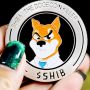Harga Kripto Shiba Inu (SHIB) Masuk Tren Bullish, Investor Diminta Waspada
