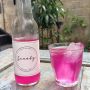 Sehat dan Segar Kombucha Scooby, Produk yang Lahir Kala Pandemi