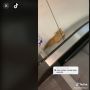 Temukan Kucing Nyangkut di Eskalator, Wanita Syok Lihat Endingnya: Gue Ditipu!