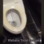 Semprotan Bidet WC Kencang Bak Air Mancur, Warganet Ngilu