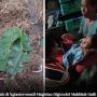 Viral Bocah di Magetan Hilang Misterius Diduga Digondol Makhluk Halus