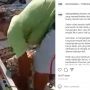 Seorang Pria Buang Ratusan Telur ke Sungai, Warganet Cecar Aksinya Sampai Menghakimi