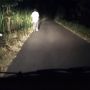 Potret Pesepeda Tua Disorot Lampu Mobil Bikin Publik Banjir Doa, Ini Sebabnya