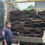 Kronologi Pengungkapan Kasus Kayu Ilegal di Cagar Biosfer Giam Siak Kecil