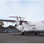 Pakar Penerbangan untuk Pengganti Garuda Indonesia: Branding Bukan Perkara Mudah