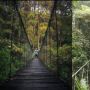 7 Rekomendasi Wisata Alam Bogor Kekinian dan Instagramabel