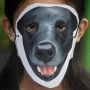 Aksis Solidaritas untuk Anjing Canon