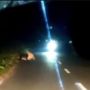 Heboh, Seekor Buaya Bertengger di Badan Jalan, Cegat Pengendara yang Lewat