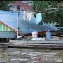 Banjir di Sekadau, Satu Warga Dilaporkan Meninggal Ribuan Rumah Terrendam