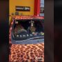 Kelewat Cinta Motif Macan, Koleksi Baju hingga Mobil Ibu Ini Bikin Geleng Kepala